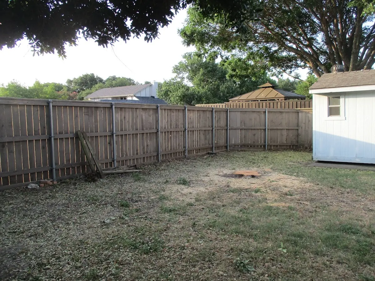 Cleared yard after professional tree removal in Macfarlan